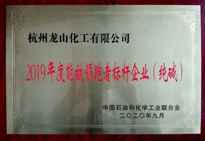 领跑者标杆企业（纯碱）